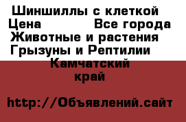 Шиншиллы с клеткой › Цена ­ 8 000 - Все города Животные и растения » Грызуны и Рептилии   . Камчатский край